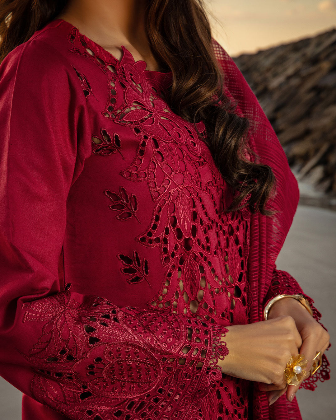 Rang Rasiya - Schiffli Embroidered Ayla's Atelier